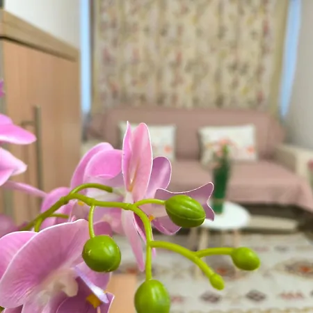 Rilska - Center And Sea Garden Appartement